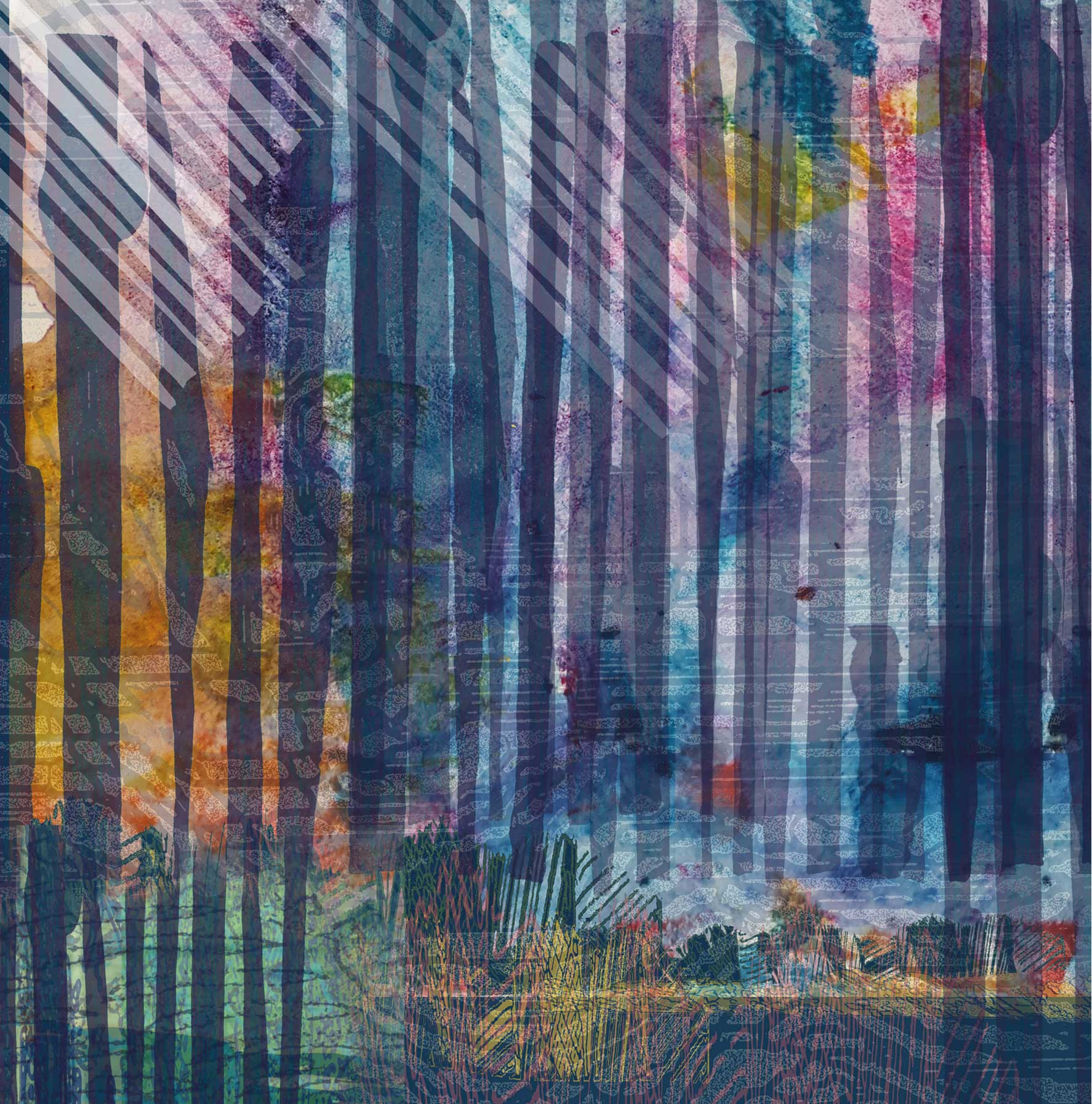 rosimorosi-spark-woods